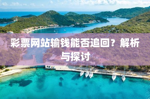 彩票网站输钱能否追回？解析与探讨
