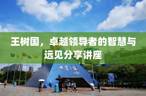 王树国，卓越领导者的智慧与远见分享讲座