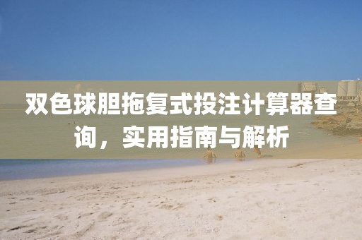 双色球胆拖复式投注计算器查询，实用指南与解析