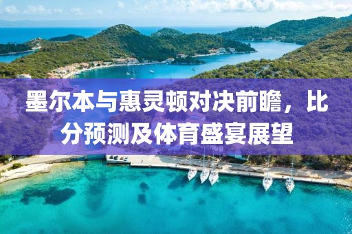 墨尔本与惠灵顿对决前瞻，比分预测及体育盛宴展望