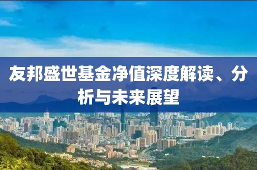 友邦盛世基金净值深度解读、分析与未来展望