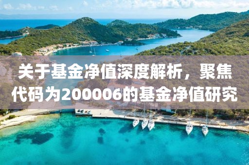 关于基金净值深度解析，聚焦代码为200006的基金净值研究