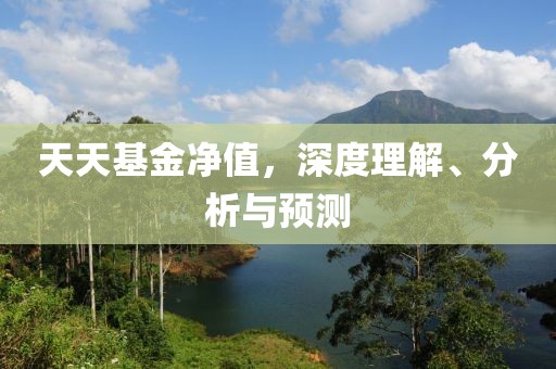 天天基金净值，深度理解、分析与预测