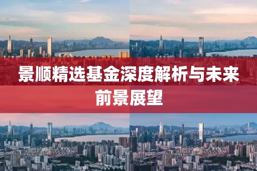 景顺精选基金深度解析与未来前景展望