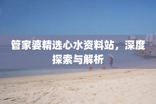 管家婆精选心水资料站，深度探索与解析