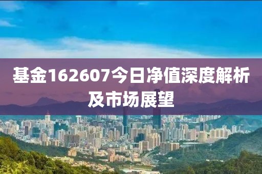 基金162607今日净值深度解析及市场展望