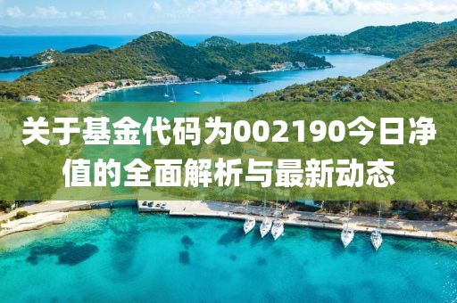 关于基金代码为002190今日净值的全面解析与最新动态