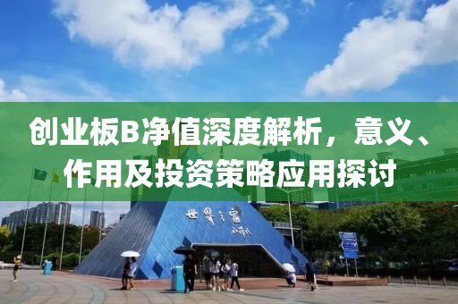创业板B净值深度解析，意义、作用及投资策略应用探讨