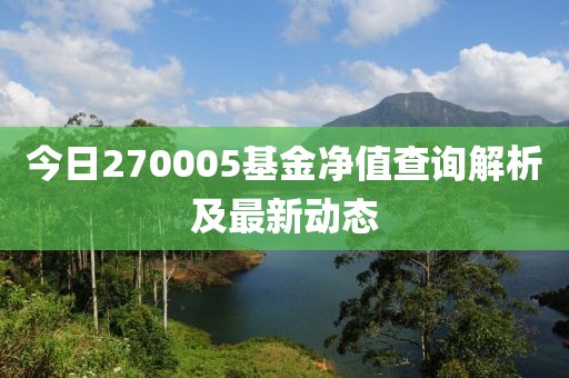 今日270005基金净值查询解析及最新动态