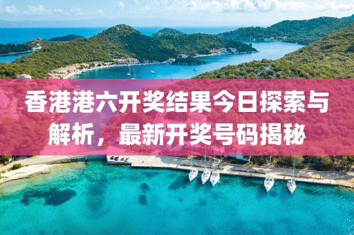 香港港六开奖结果今日探索与解析，最新开奖号码揭秘