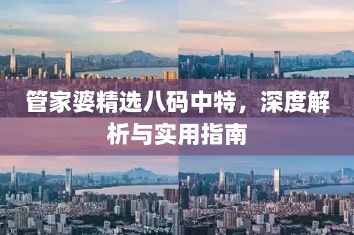 管家婆精选八码中特，深度解析与实用指南