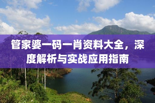 管家婆一码一肖资料大全，深度解析与实战应用指南