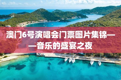 澳门6号演唱会门票图片集锦——音乐的盛宴之夜