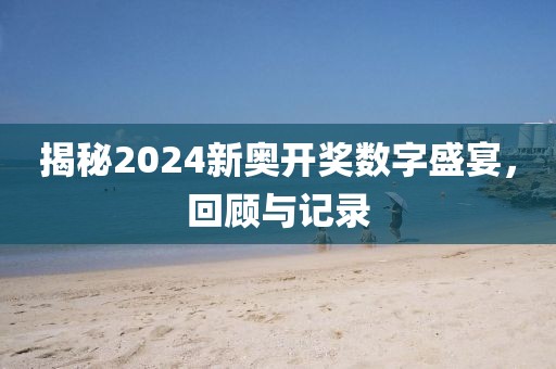 揭秘2024新奥开奖数字盛宴，回顾与记录
