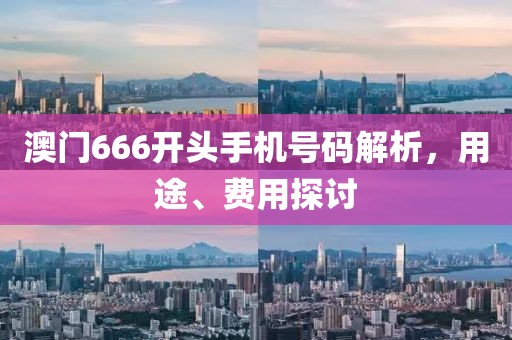 澳门666开头手机号码解析，用途、费用探讨