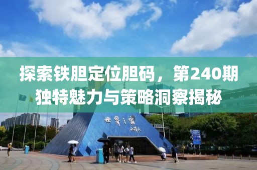 探索铁胆定位胆码，第240期独特魅力与策略洞察揭秘