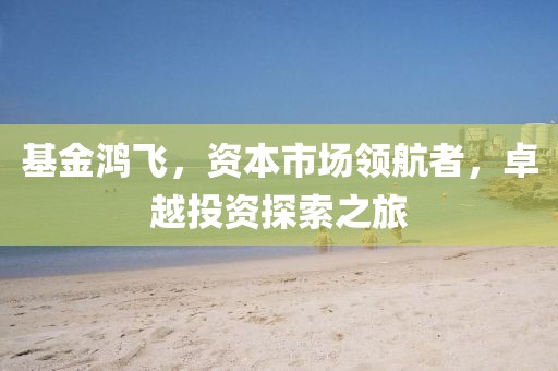 基金鸿飞，资本市场领航者，卓越投资探索之旅