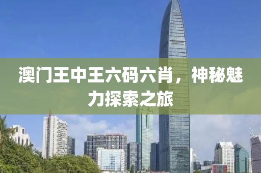 澳门王中王六码六肖，神秘魅力探索之旅