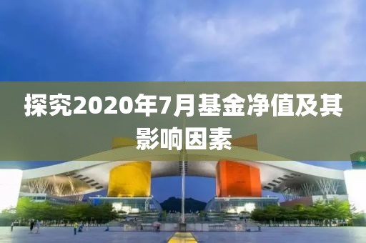 探究2020年7月基金净值及其影响因素