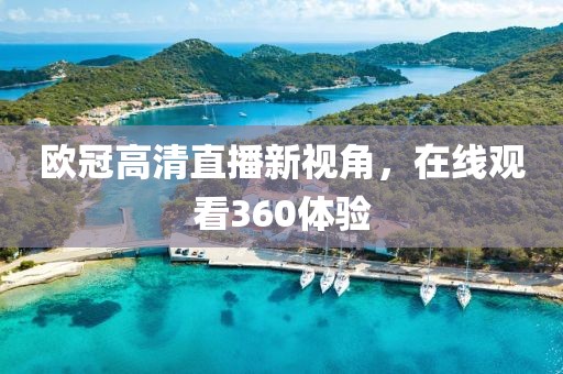 欧冠高清直播新视角，在线观看360体验