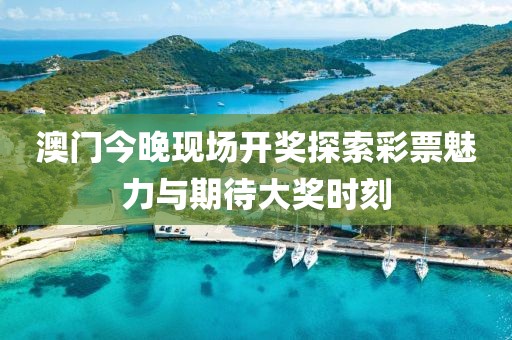澳门今晚现场开奖探索彩票魅力与期待大奖时刻