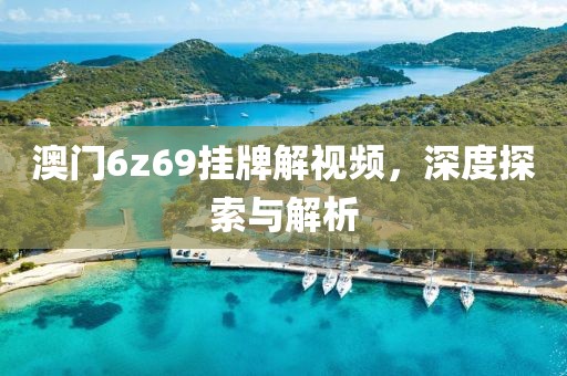 澳门6z69挂牌解视频，深度探索与解析