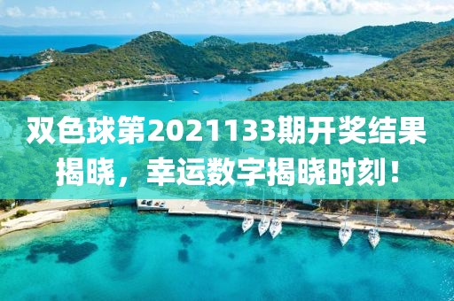 双色球第2021133期开奖结果揭晓，幸运数字揭晓时刻！