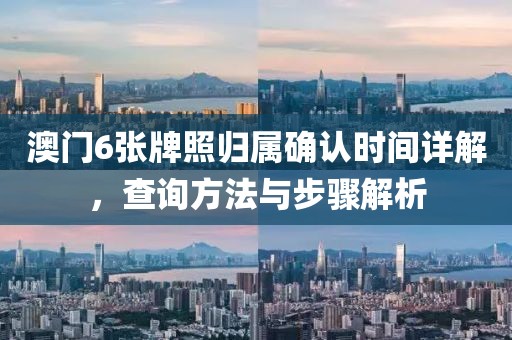 澳门6张牌照归属确认时间详解，查询方法与步骤解析