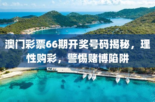 澳门彩票66期开奖号码揭秘，理性购彩，警惕赌博陷阱
