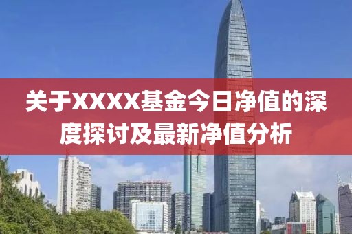 关于XXXX基金今日净值的深度探讨及最新净值分析