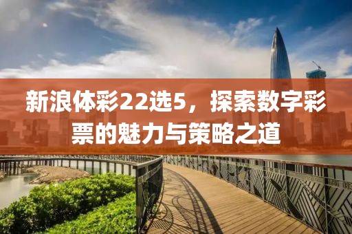 新浪体彩22选5，探索数字彩票的魅力与策略之道