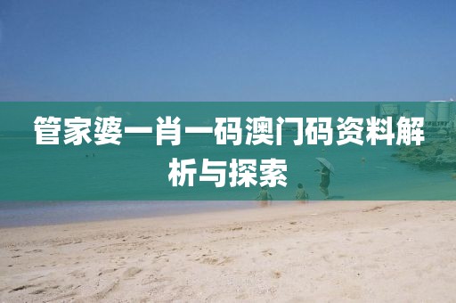 管家婆一肖一码澳门码资料解析与探索