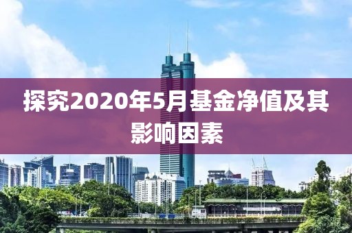 探究2020年5月基金净值及其影响因素