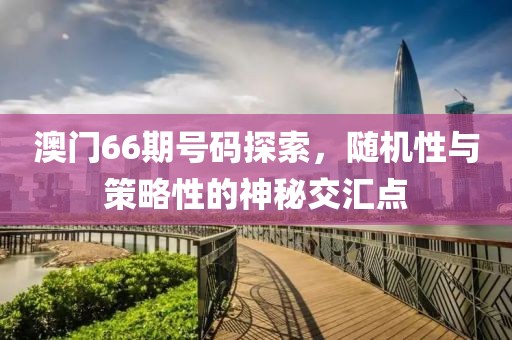 澳门66期号码探索，随机性与策略性的神秘交汇点