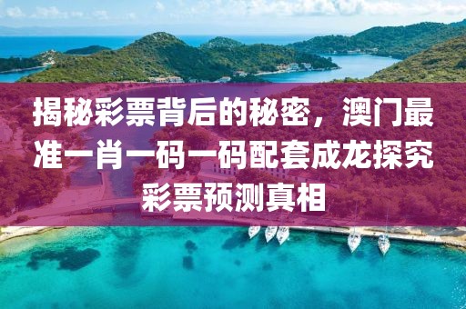 揭秘彩票背后的秘密，澳门最准一肖一码一码配套成龙探究彩票预测真相