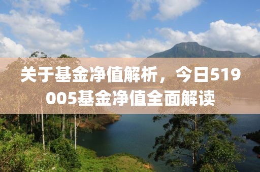 关于基金净值解析，今日519005基金净值全面解读