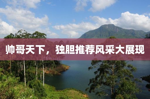 帅哥天下，独胆推荐风采大展现
