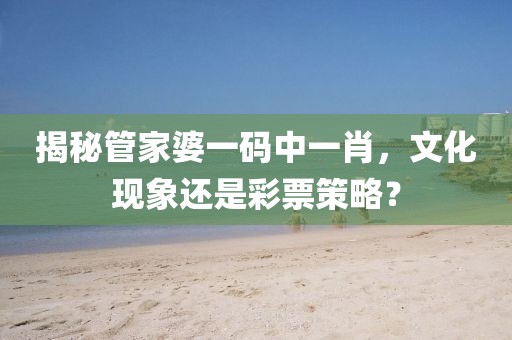 揭秘管家婆一码中一肖，文化现象还是彩票策略？