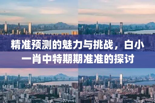 精准预测的魅力与挑战，白小一肖中特期期准准的探讨