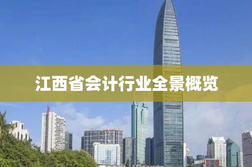 江西省会计行业全景概览