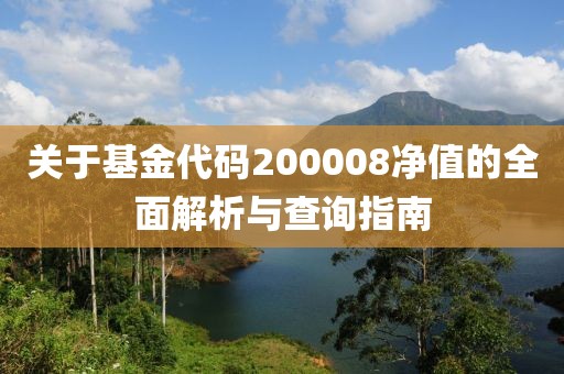 关于基金代码200008净值的全面解析与查询指南