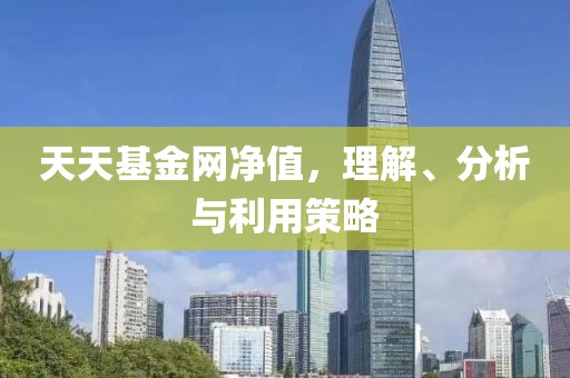 天天基金网净值，理解、分析与利用策略