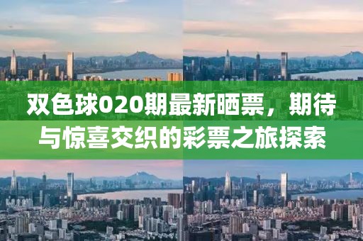 双色球020期最新晒票，期待与惊喜交织的彩票之旅探索