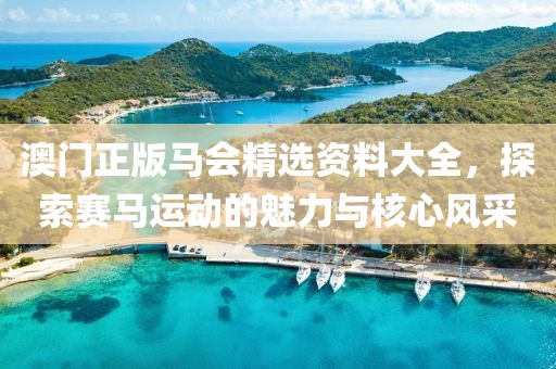 澳门正版马会精选资料大全，探索赛马运动的魅力与核心风采