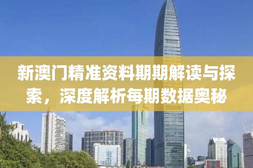 新澳门精准资料期期解读与探索，深度解析每期数据奥秘