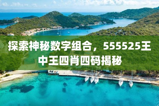 探索神秘数字组合，555525王中王四肖四码揭秘