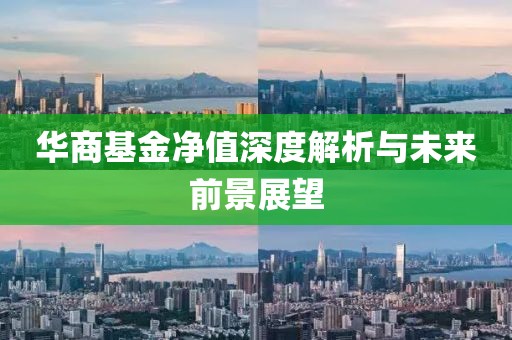 华商基金净值深度解析与未来前景展望
