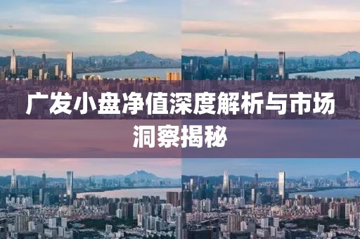 广发小盘净值深度解析与市场洞察揭秘