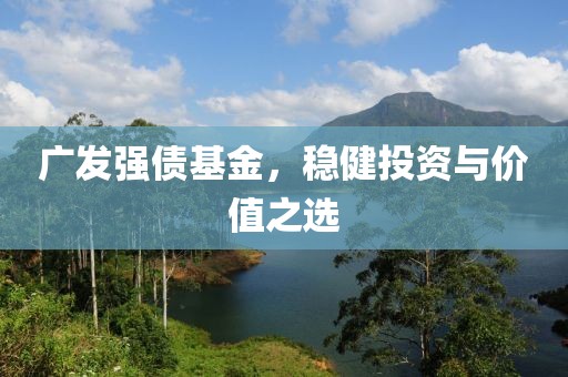 广发强债基金，稳健投资与价值之选
