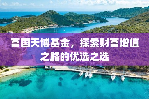富国天博基金，探索财富增值之路的优选之选
